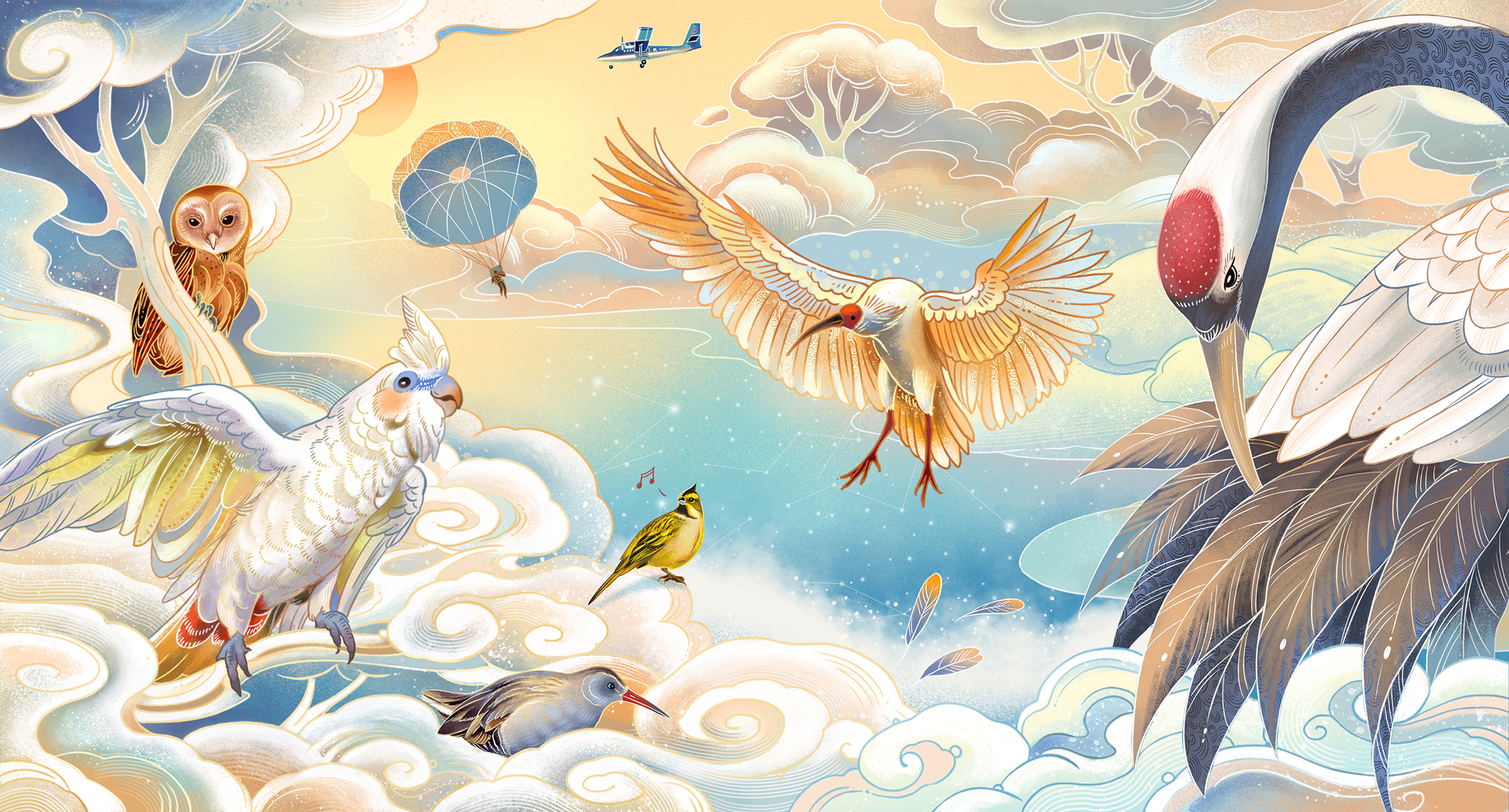 你53-代码开源技术分享